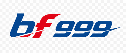 bf 999 লোগো